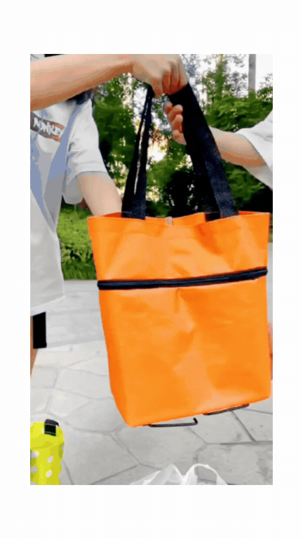 Bolso Plegable con Ruedas 2 en 1 – Carrito de Compras Convertible