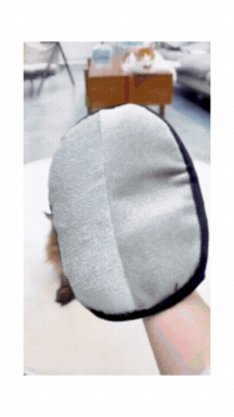 Guante Quita Pelos para Mascotas — Limpia Sofá, Ropa y Auto en Segundos
